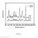 Fig. 12 - Carrier for use in single molecule detection