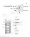 Fig. 08 - Ultrasound imaging device and method of generating image for ultrasound imaging device