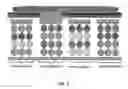 Fig. 02 - ARRAY-BASED PEPTIDE LIBRARIES FOR THERAPEUTIC ANTIBODY CHARACTERIZATION