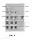 Fig. 02 - Systems and methods for determining systematic defects