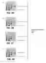Fig. 06 - Systems and methods for determining systematic defects