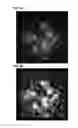 Fig. 06 - Data recovery device, microscope system, and data recovery method
