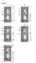 Fig. 06 - LIQUID CRYSTAL DISPLAY DEVICE