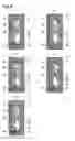 Fig. 07 - LIQUID CRYSTAL DISPLAY DEVICE