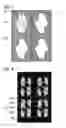 Fig. 08 - LIQUID CRYSTAL DISPLAY DEVICE
