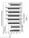 Fig. 02 - Metallic Toner Carrier