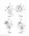 Fig. 06 - Developing apparatus with regulating member having a curved contact surface and image forming apparatus