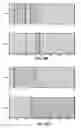 Fig. 22 - ERROR CORRECTION IN ANCESTRY CLASSIFICATION