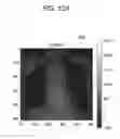 Fig. 55 - Medical image processing apparatus, medical image processing method and medical image processing system