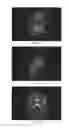 Fig. 10 - Method for precisely and automatically positioning reference line for integrated images