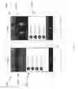 Fig. 12 - Methods and systems for access control and awareness management