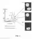 Fig. 03 - Pulse-width modulation based on image gray portion