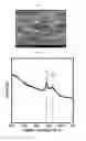 Fig. 04 - Separator including laser-induced carbonized graphene layer and lithium-sulfur battery including the same