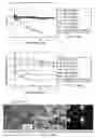 Fig. 30 - Core-Shell Cathodes for Lithium-Sulfur Batteries