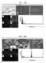 Fig. 44 - Core-Shell Cathodes for Lithium-Sulfur Batteries