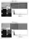 Fig. 49 - Core-Shell Cathodes for Lithium-Sulfur Batteries