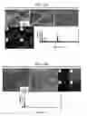 Fig. 52 - Core-Shell Cathodes for Lithium-Sulfur Batteries