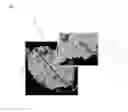 Fig. 02 - Positive electrode active material for nonaqueous electrolyte secondary batteries, method for producing same, and nonaqueous electrolyte secondary battery using same