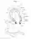Fig. 02 - Robot and optical transmission device
