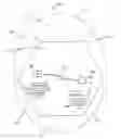 Fig. 01 - Method and apparatus for sequence generation