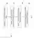 Fig. 06 - Method and apparatus for sequence generation