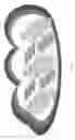 Fig. 05 - High performance computing (HPC) based modulator/demodulator modem