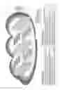 Fig. 09 - High performance computing (HPC) based modulator/demodulator modem