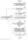 Fig. 01 - Display method of exchanging messages among users in a group
