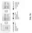 Fig. 96 - System and method for improving internet communication by using intermediate nodes
