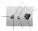 Fig. 01 - COVERT BLUETOOTH HEADSET