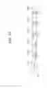 Fig. 11 - Method and apparatus for performing uplink transmission in wireless LAN system