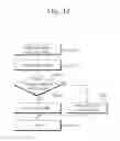 Fig. 13 - Method and apparatus for performing uplink transmission in wireless LAN system