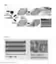 Fig. 02 - FLEXIBLE ELECTRODE LAMINATE AND METHOD FOR MANUFACTURING THE SAME