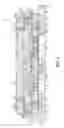 Fig. 05 - Laminate-based package with internal overmold