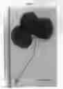 Fig. 04 - Strawberry plant named 'Plared 0822'