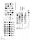 Fig. 02 - Method and apparatus for high throughput testing of a treatment on one or more characteristic of plants