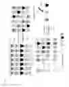 Fig. 08 - Method and apparatus for high throughput testing of a treatment on one or more characteristic of plants