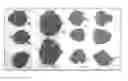 Fig. 01 - Bactericide composition based on a mixture of bacteriophages for the control of black plague in plants or parts thereof, preferably the walnut, caused by Xanthomonas arboricola pv. juglandis; preparation method and application
