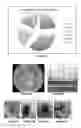 Fig. 02 - Bactericide composition based on a mixture of bacteriophages for the control of black plague in plants or parts thereof, preferably the walnut, caused by Xanthomonas arboricola pv. juglandis; preparation method and application
