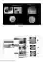Fig. 08 - Bactericide composition based on a mixture of bacteriophages for the control of black plague in plants or parts thereof, preferably the walnut, caused by Xanthomonas arboricola pv. juglandis; preparation method and application