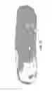 Fig. 14 - HAM AND PORCINE PRODUCTS AND PROCESS FOR PREPARING THE SAME
