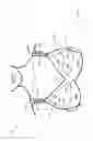 Fig. 02 - BRA WITH INDEPENDENTLY ADJUSTABLE CUP SIZE