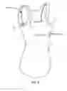 Fig. 02 - MULTI-FUNCTION BREASTFEEDING AND PUMPING GARMENT