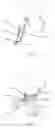 Fig. 46 - Apparatus, system, and method for reducing head or neck trauma