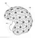 Fig. 01 - Helmet with external flexible cage
