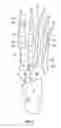 Fig. 09 - Massage shoe with arch support nodules