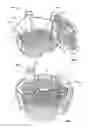 Fig. 07 - Auxiliary processing device for appliance