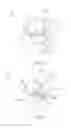 Fig. 07 - SELF ASSISTANCE COMMODE SUPPORT APPARATUS AND METHODS