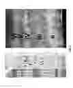 Fig. 02 - METHODS AND SYSTEMS FOR IDENTIFYING FUNCTIONAL AREAS OF CEREBRAL CORTEX USING OPTICAL COHERENCE TOMOGRAPHY