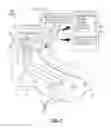 Fig. 06 - System and method for detecting inflammation in a foot